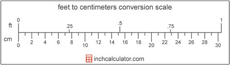 175 cm in feet|Cm to Feet+Inches Converter (cm to ft)